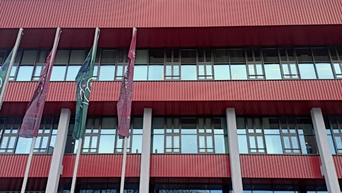 Masaże dla pracowników poznańskiego Uniwersytetu Ekonomicznego podczas II Dni Dobrostanu UEP „Let’s be well”